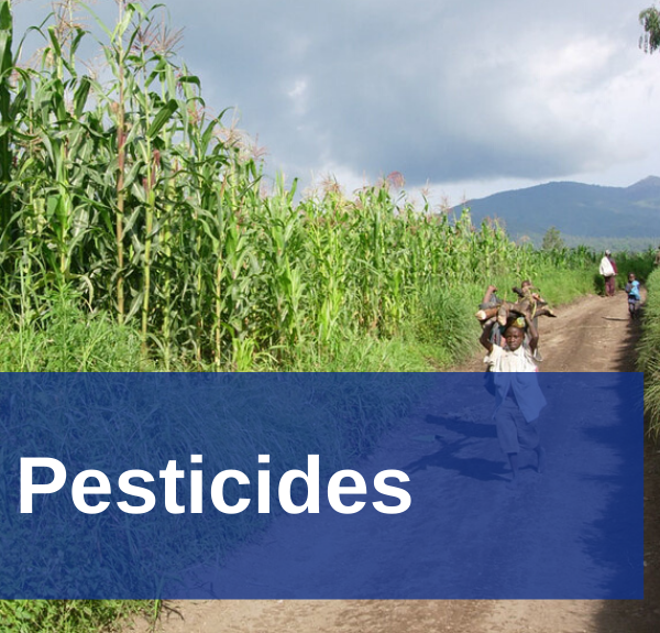 Interest-Area-Pesticides Thumbnail.png